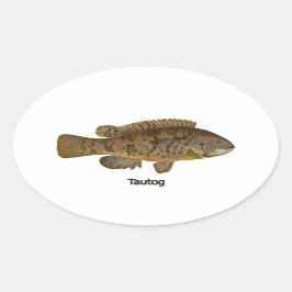 Tautog (zwarte vis) ovale sticker