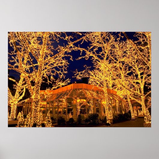 Tavern on the Green, Central Park, New York City, Poster (Voorkant)