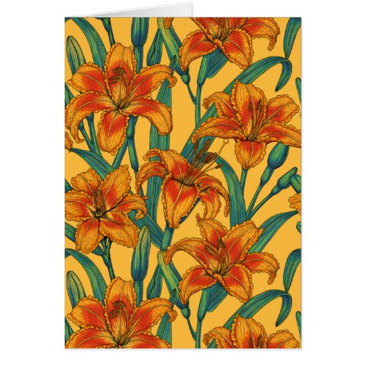 Tawny daglilbloemen, blauw en geel (Voorkant)