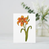 Tawny daylily briefkaart (Staand voorkant)