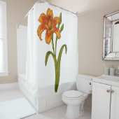 Tawny daylily douchegordijn (In situ)