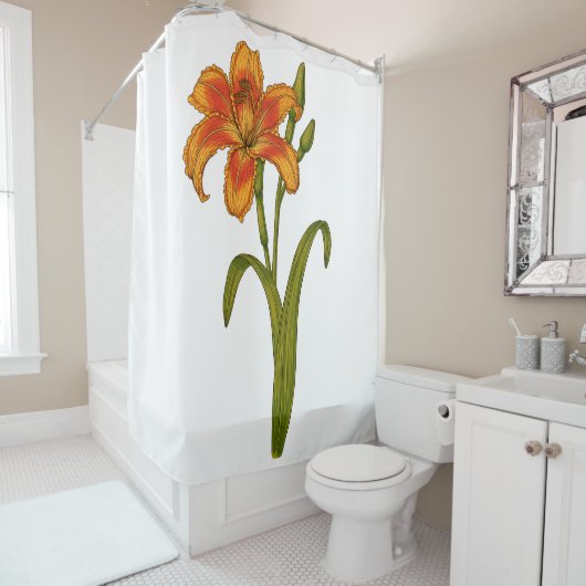 Tawny daylily douchegordijn (In situ)