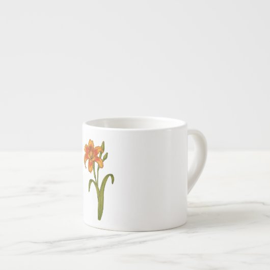 Tawny daylily espresso kop (Voorkant rechts)