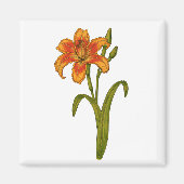 Tawny daylily magneet (Voorkant)