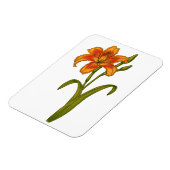 Tawny daylily magneet (Linkerzijde)