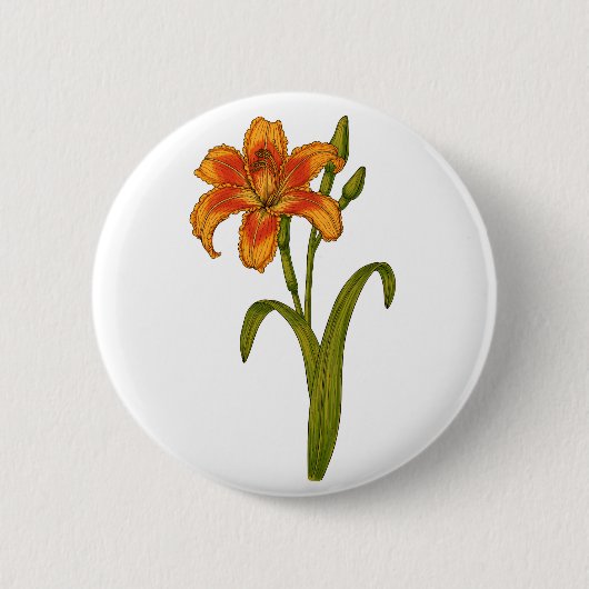 Tawny daylily ronde button 5,7 cm (Voorkant)