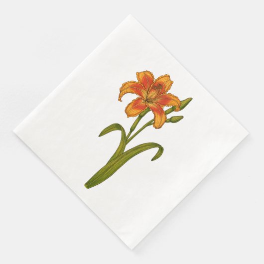 Tawny daylily servet (Hoek)