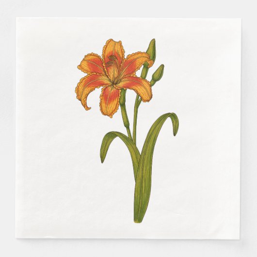 Tawny daylily servet (Voorkant)