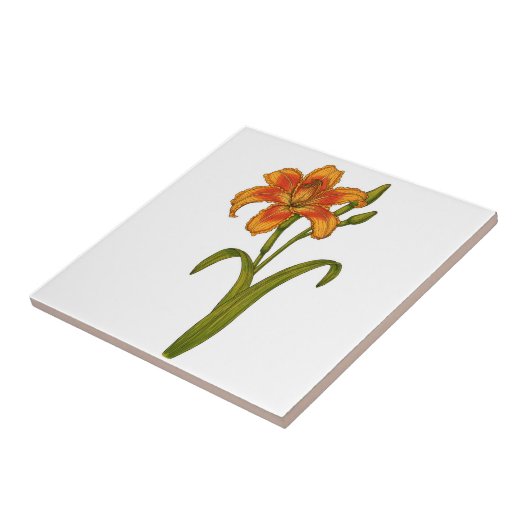 Tawny daylily tegeltje (Zijkant)