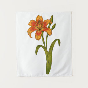 Tawny daylily wandkleed