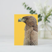 Tawny Eagle Briefkaart (Staand voorkant)