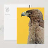 Tawny Eagle Briefkaart (Voorkant / Achterkant)