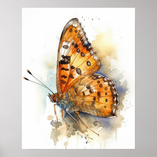 Tawny Emperor Butterfly Art Print Poster (Voorkant)