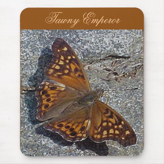 Tawny Emperor Butterfly Mousepad Muismat (Voorkant)