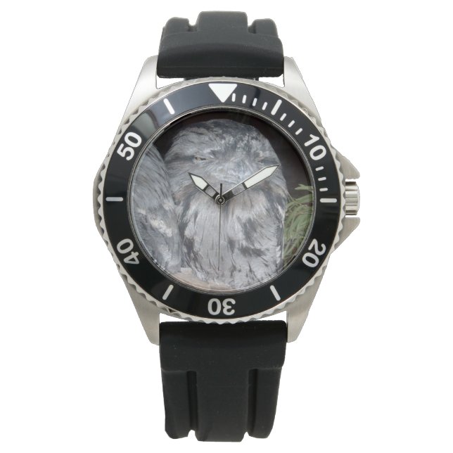 Tawny_Frog_Mouth_Owl,_ Horloge (Voorkant)