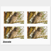 TAWNY FROGMOUTH QUEENSLAND AUSTRALIË RECHTHOEKIGE STICKER (Vel)