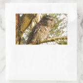 TAWNY FROGMOUTH QUEENSLAND AUSTRALIË RECHTHOEKIGE STICKER (Tas)