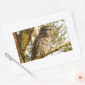 TAWNY FROGMOUTH QUEENSLAND AUSTRALIË RECHTHOEKIGE STICKER (Envelop)