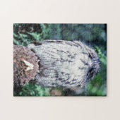 Tawny Frogmouth, Tasmania - Australië Legpuzzel (Horizontaal)