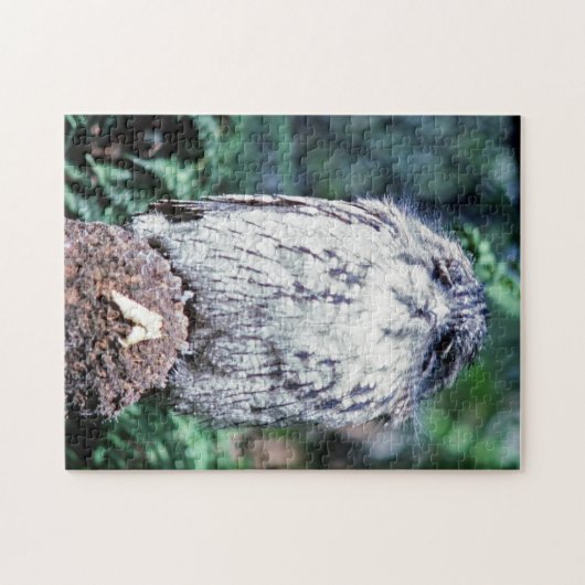 Tawny Frogmouth, Tasmania - Australië Legpuzzel (Horizontaal)