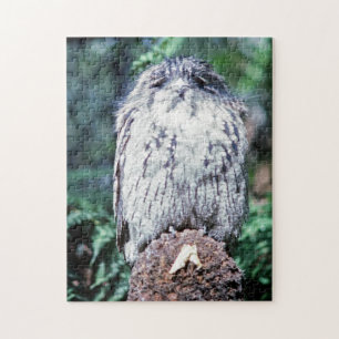 Tawny Frogmouth, Tasmania - Australië Legpuzzel