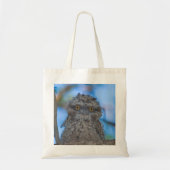 Tawny Frogmouth Tote Bag (Voorkant)