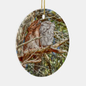 TAWNY FROGMOUTHS QUEENSLAND AUSTRALIA ART EFFECTEN KERAMISCH ORNAMENT (Rechts)