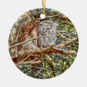 TAWNY FROGMOUTHS QUEENSLAND AUSTRALIA ART EFFECTEN KERAMISCH ORNAMENT