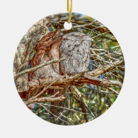 TAWNY FROGMOUTHS QUEENSLAND AUSTRALIA ART EFFECTEN KERAMISCH ORNAMENT (Voorkant)