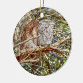 TAWNY FROGMOUTHS QUEENSLAND AUSTRALIA ART EFFECTEN KERAMISCH ORNAMENT (Links)