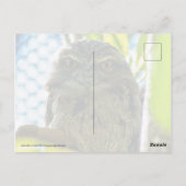 Tawny is No Owl Briefkaart (Achterkant)