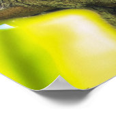 Tawny is No Owl Poster (Hoek)