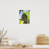 Tawny is No Owl Poster (Keuken)