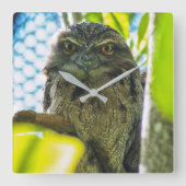 Tawny is No Owl Vierkante Klok (Voorkant)