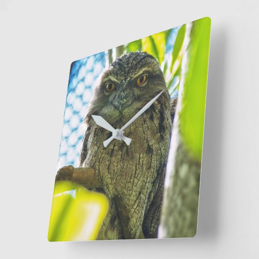 Tawny is No Owl Vierkante Klok (Hoek)