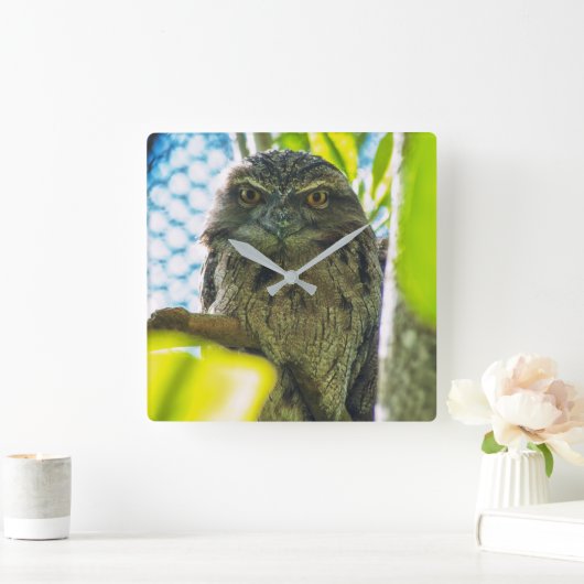 Tawny is No Owl Vierkante Klok (Huis)