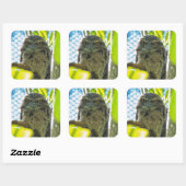 Tawny is No Owl Vierkante Sticker (Vel)