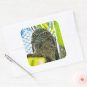 Tawny is No Owl Vierkante Sticker (Envelop)