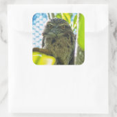 Tawny is No Owl Vierkante Sticker (Tas)