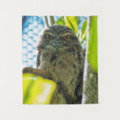 Tawny is No Owl Wandkleed (Voorkant)