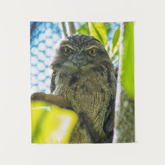 Tawny is No Owl Wandkleed (Voorkant)