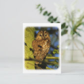 Tawny Owl 8T014D-17 Briefkaart (Staand voorkant)