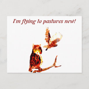 Tawny Owl Art Moving Home Briefkaart