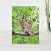 Tawny owl bird kaart (Voorkant)