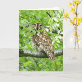 Tawny owl bird kaart (Gele Bloem)