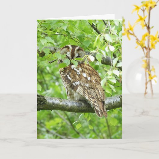 Tawny owl bird kaart (Gele Bloem)