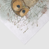 Tawny Owl Bird Pinecone French Script Decoupage Tissuepapier (Detail)