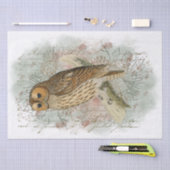 Tawny Owl Bird Pinecone French Script Decoupage Tissuepapier (Craft)