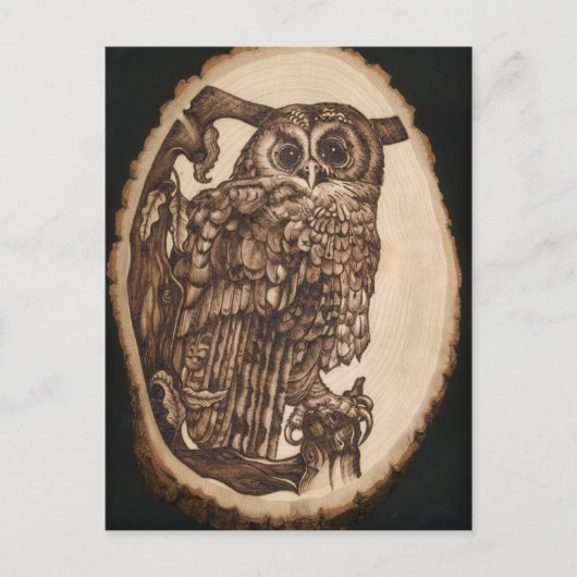 Tawny Owl Briefkaart (Voorkant)