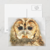 Tawny Owl Briefkaart (Voorkant / Achterkant)